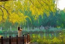 2019亚洲足球杯比分-2019亚洲足球杯，比分背后的激情与荣耀
